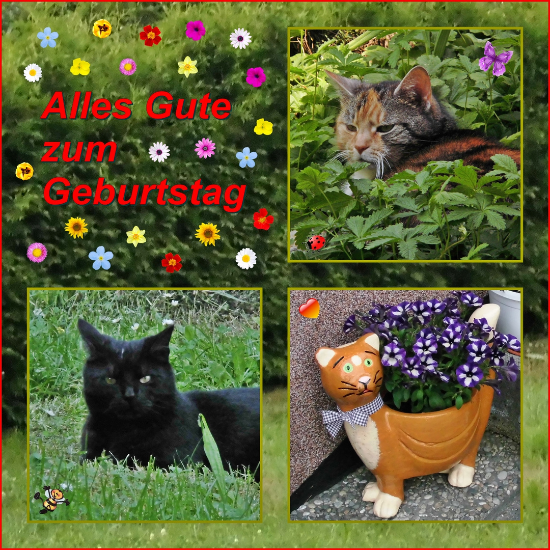 Astrid hat Geburtstag