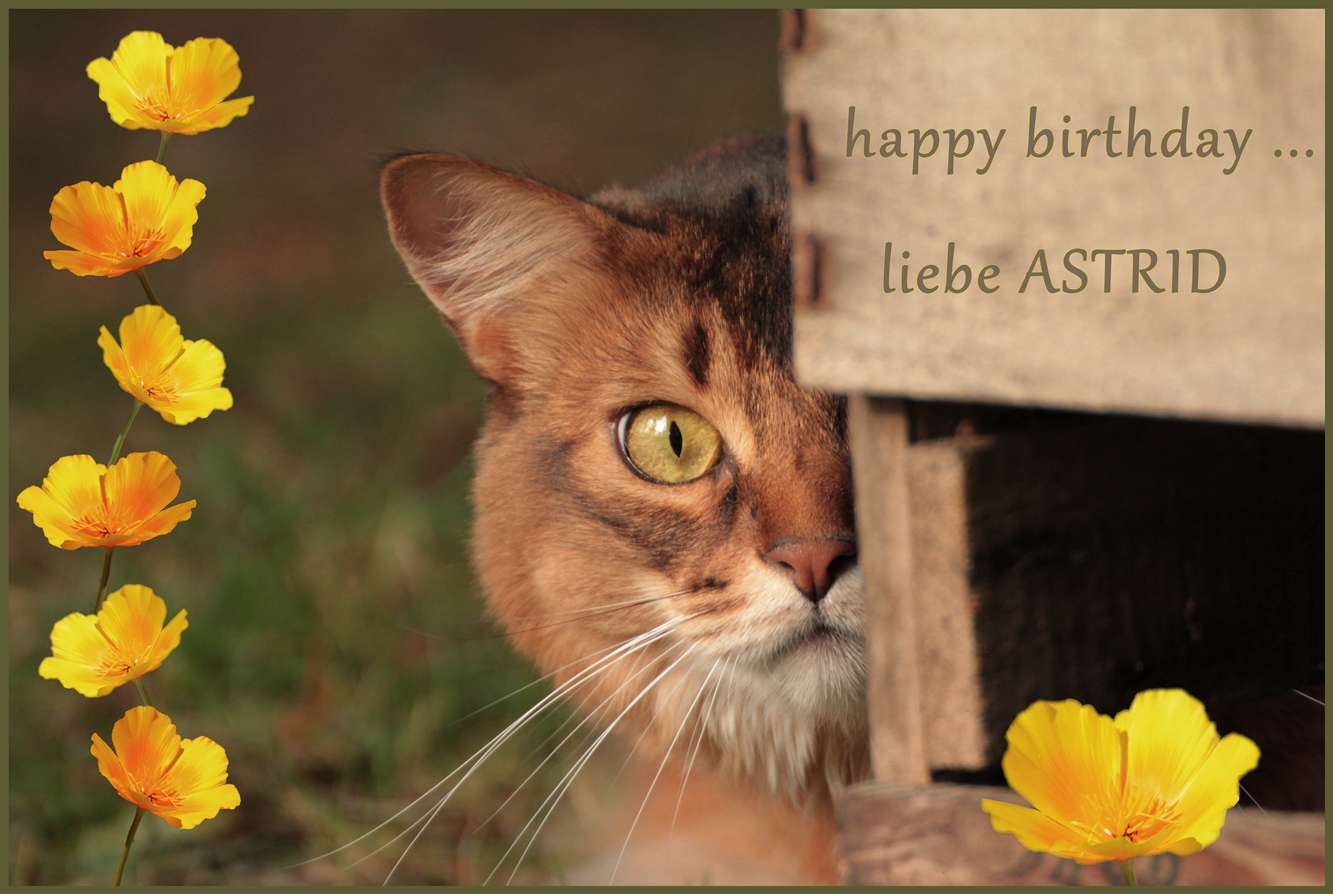 Astrid hat Geburtstag