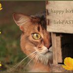 Astrid hat Geburtstag