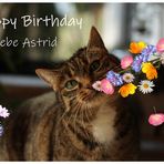 Astrid hat Geburtstag