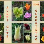 Astrid hat Geburtstag