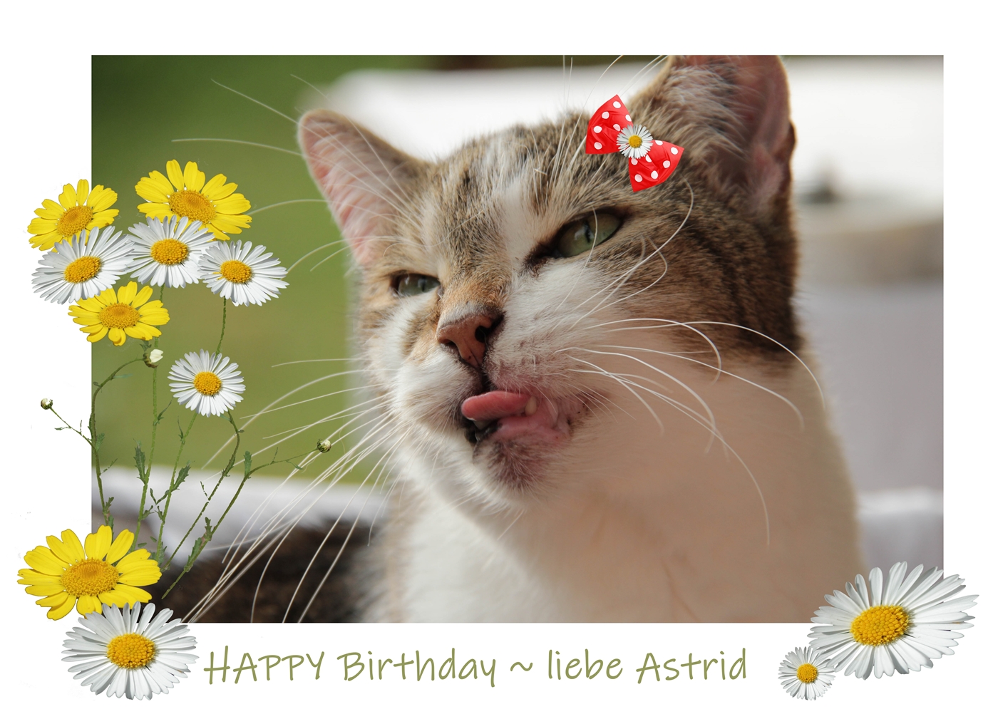 Astrid hat Geburtstag