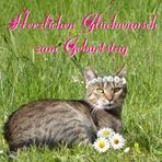 Astrid hat Geburtstag