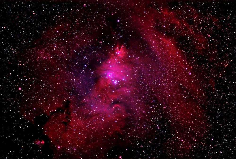 Astro-Nebel und Sterne im Sternbild Einhorn: Konusnebel/Weihnachtsbaum-Sternhaufen und Umgebung