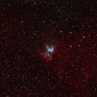 Astronebel "Thors Helm" (NGC 2359) im Sternbild "Großer Hund"