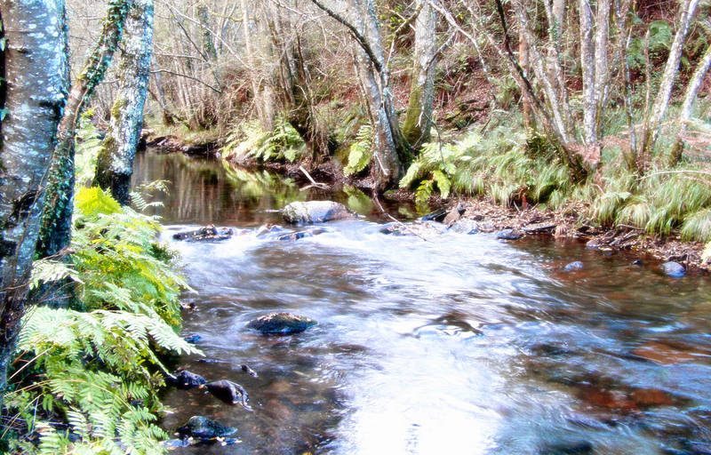 Astur river