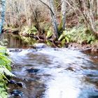 Astur river