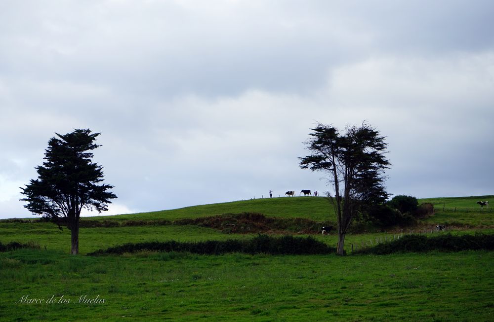 ...Asturias...