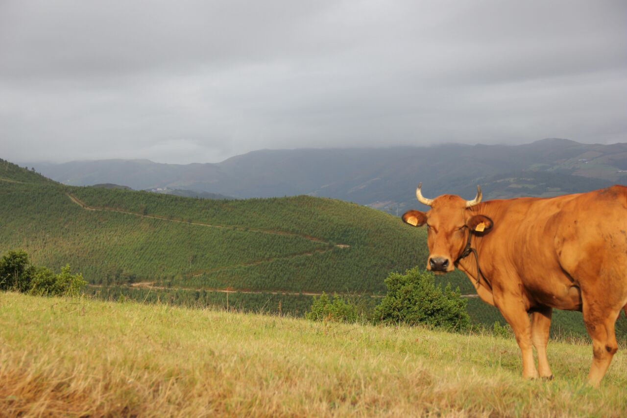 asturias