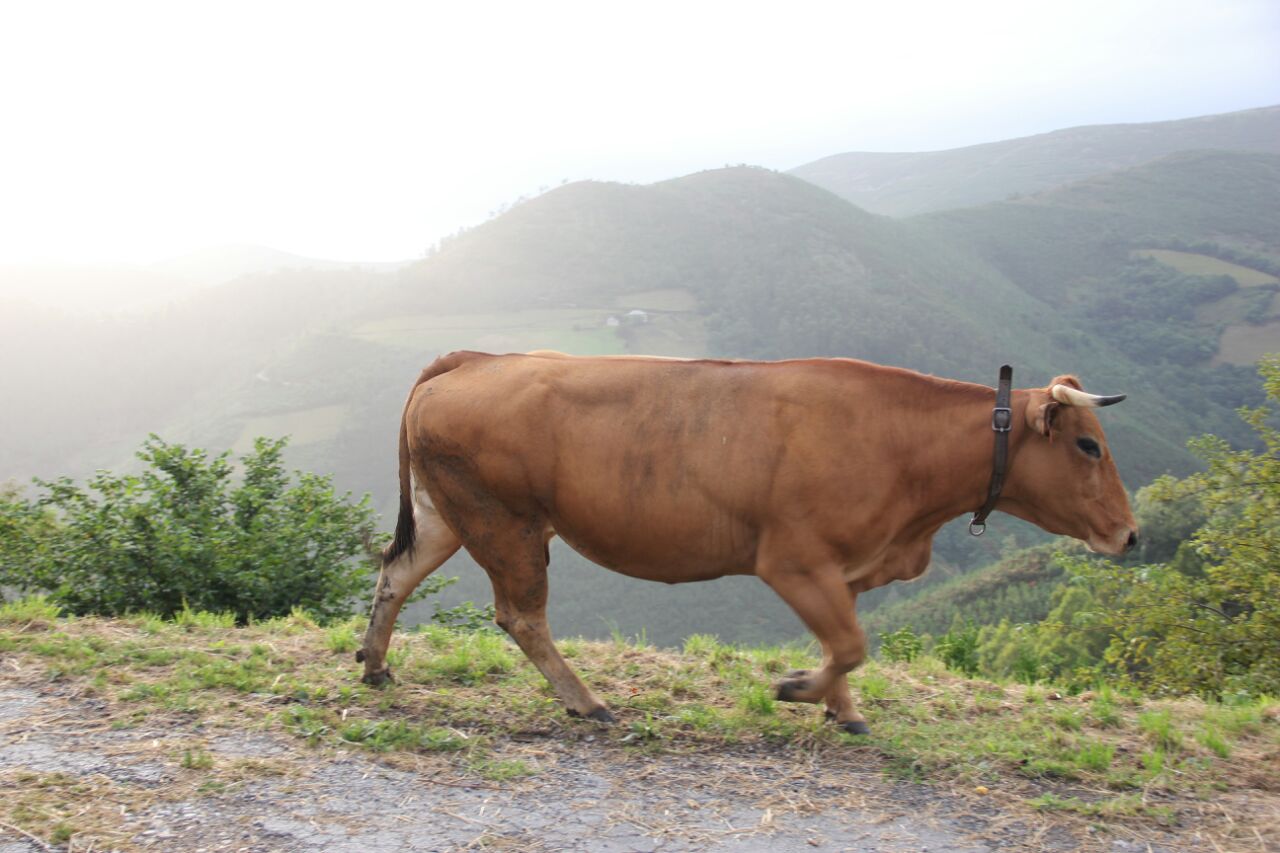 asturias