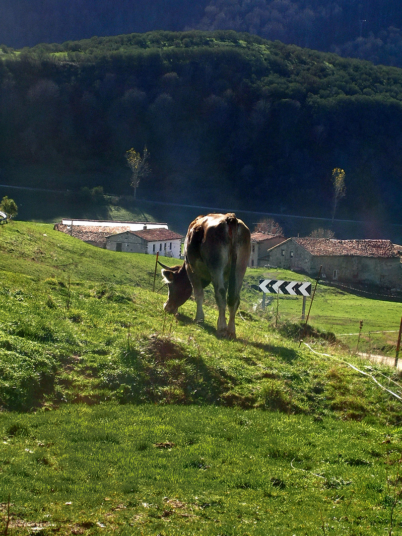 Asturias