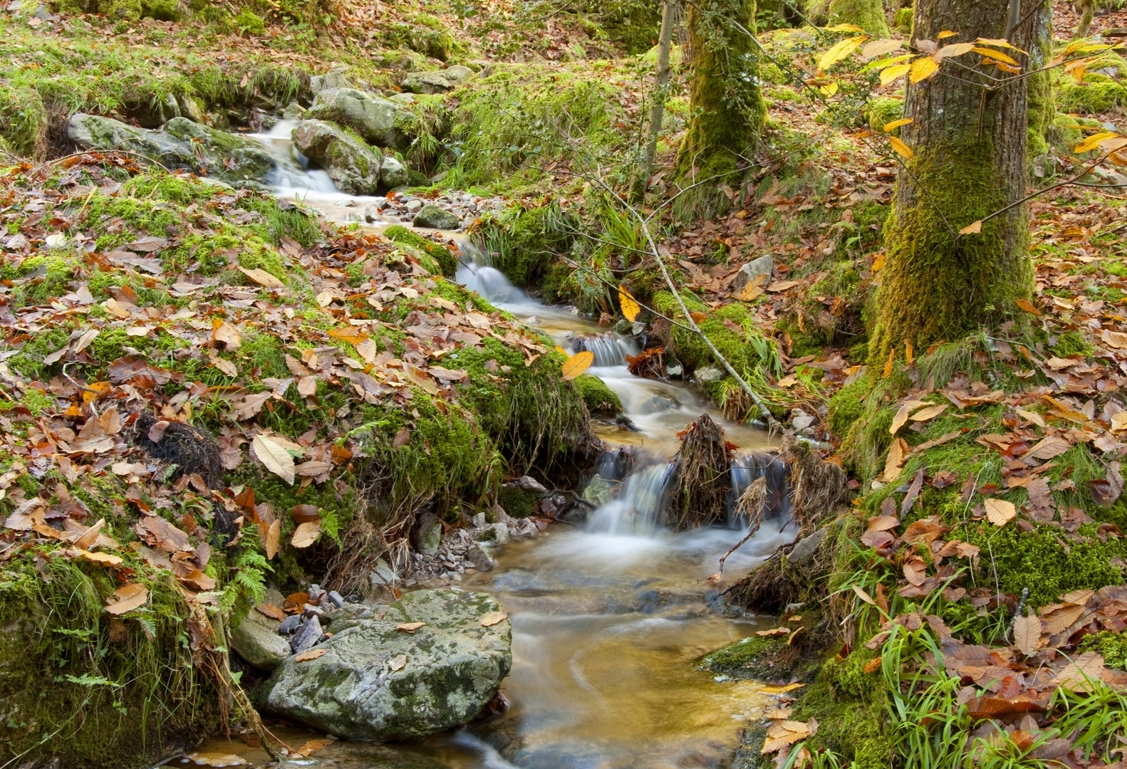 Asturias