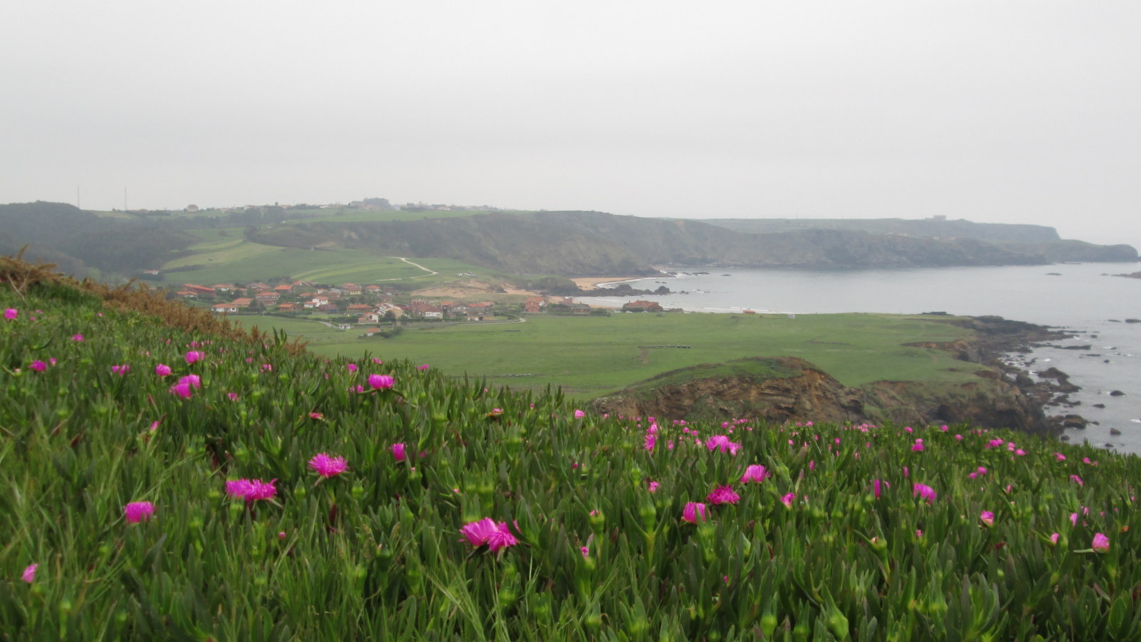 ASTURIAS JARDIN NATURAL