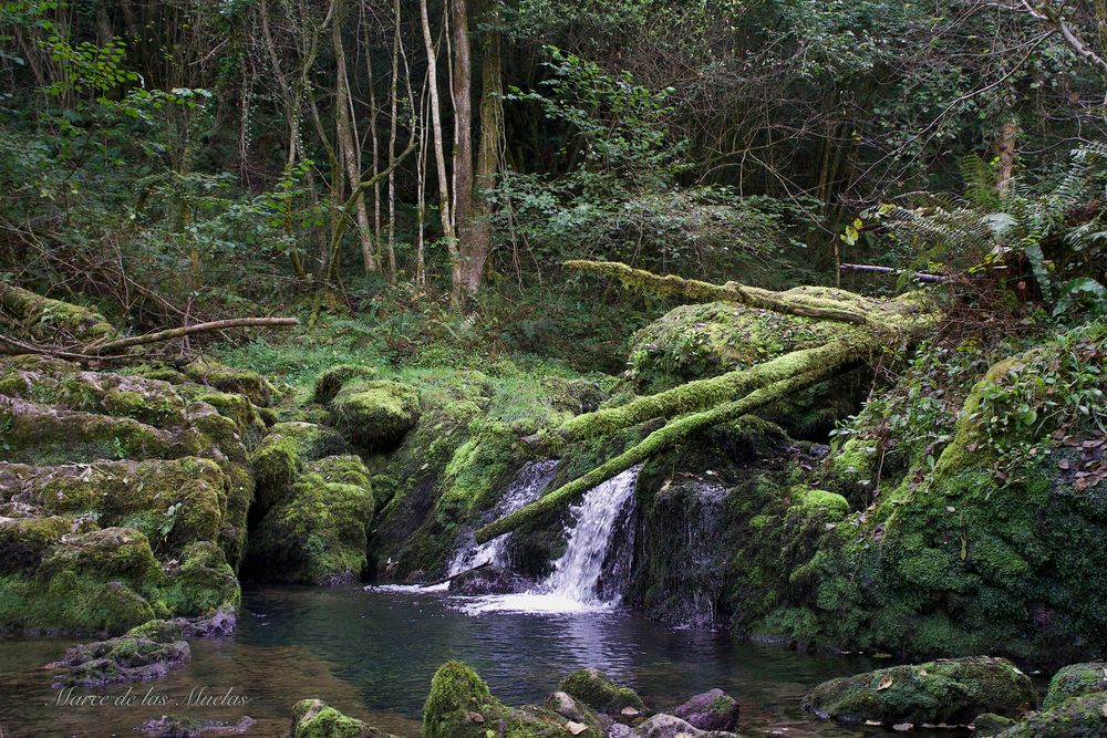 ...Asturias Rio Obaya...