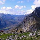 "Asturias, siempre Asturias"