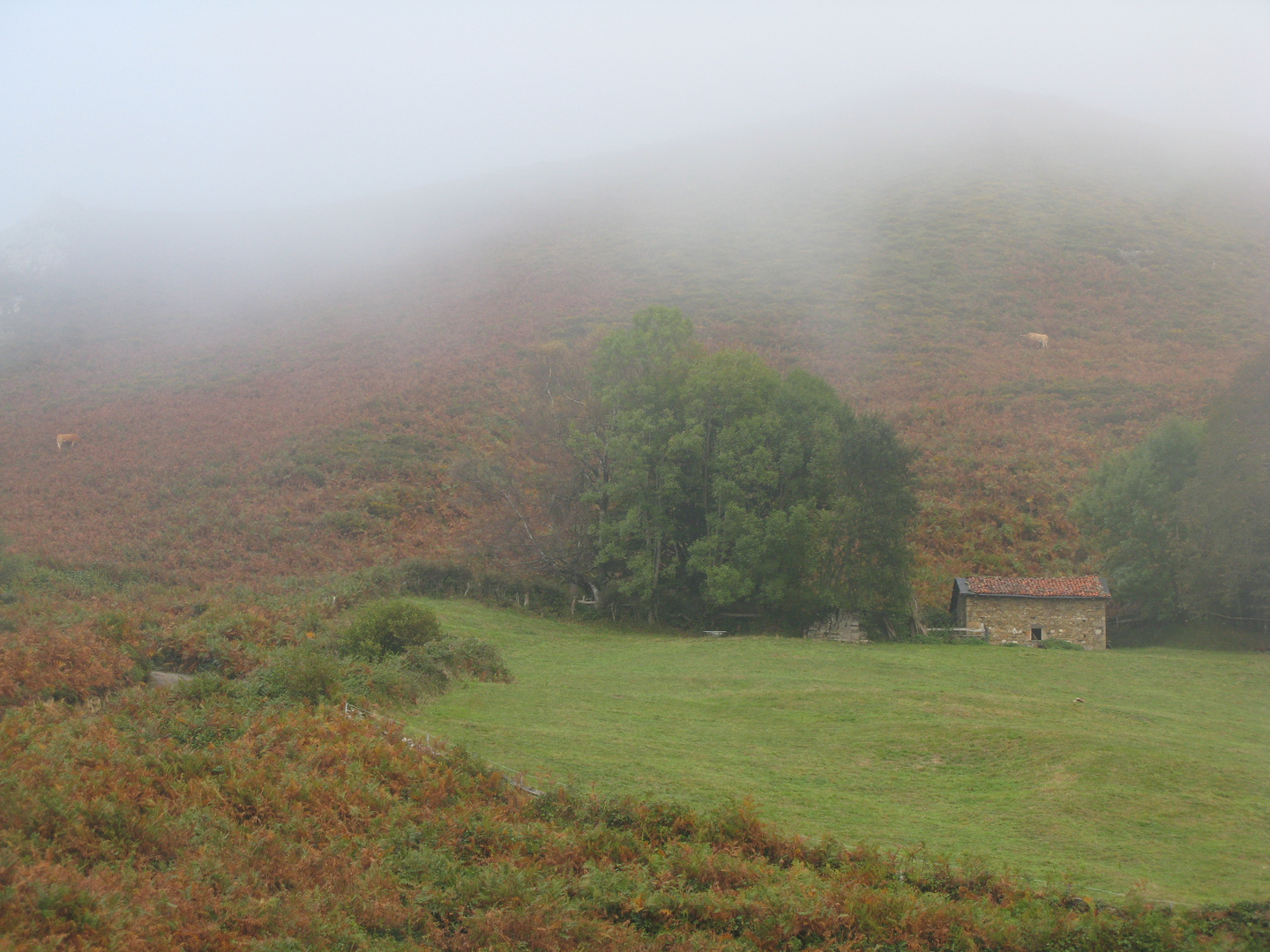 Asturias (Spain) 3