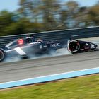 A.Sutil ( GER, Sauber )