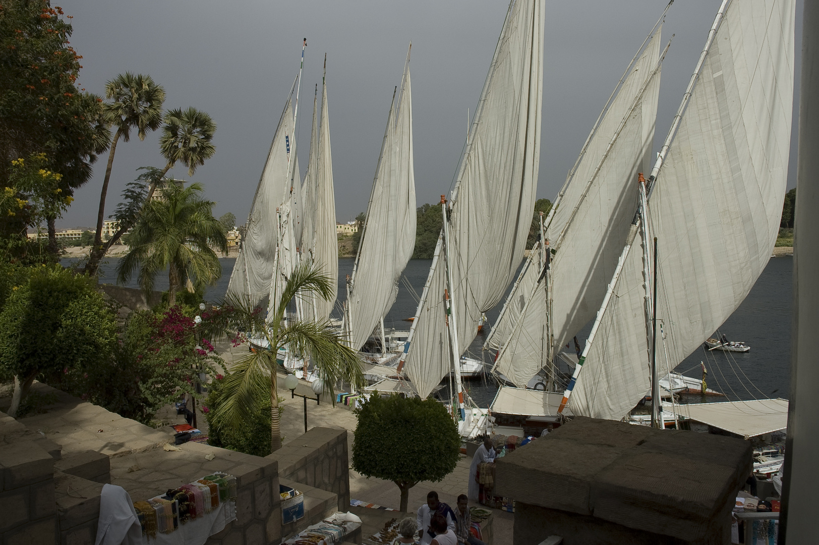 Aswan-Botanischer Garten