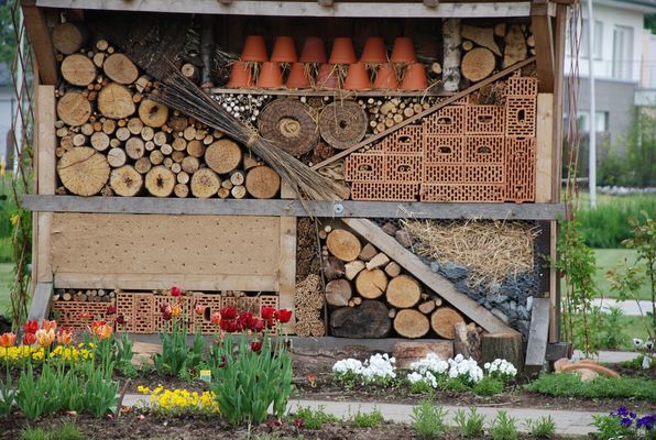 Asylheim für Kleintiere