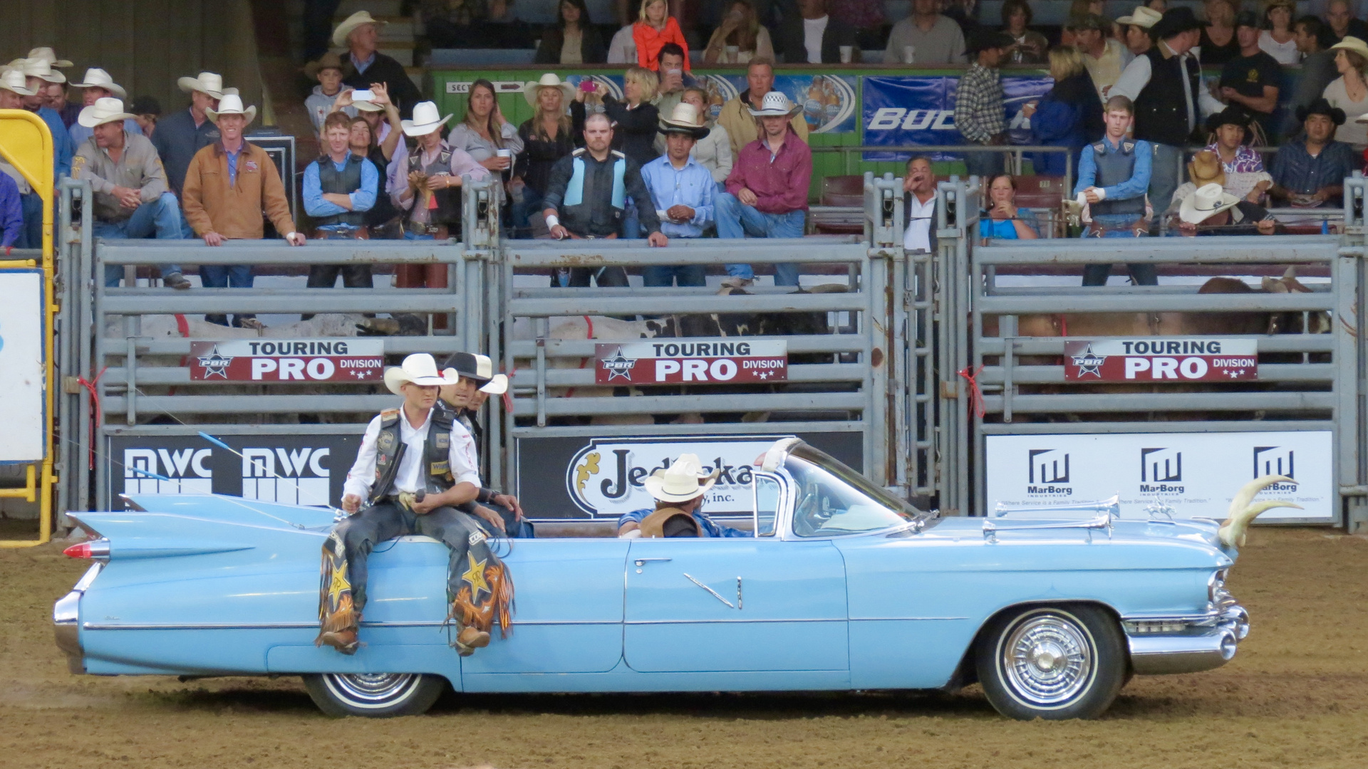 at a bullriding competition