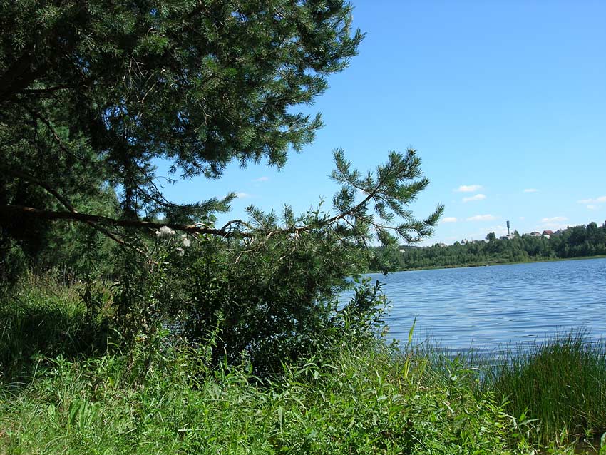 at a lake