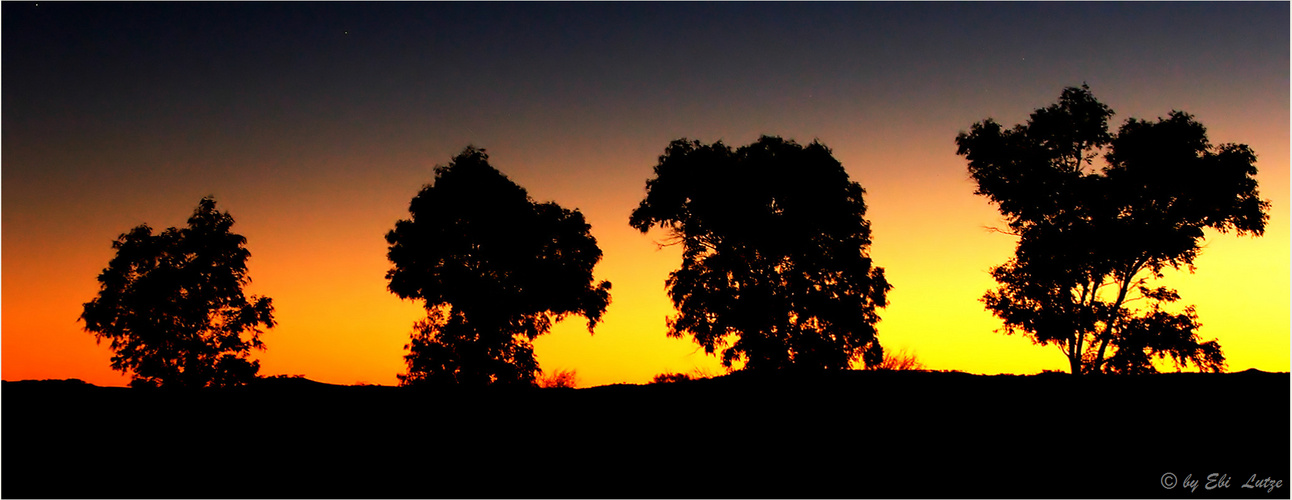 *** At a Rest at the Evening by the Site of the Road ***