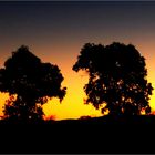 *** At a Rest at the Evening by the Site of the Road ***