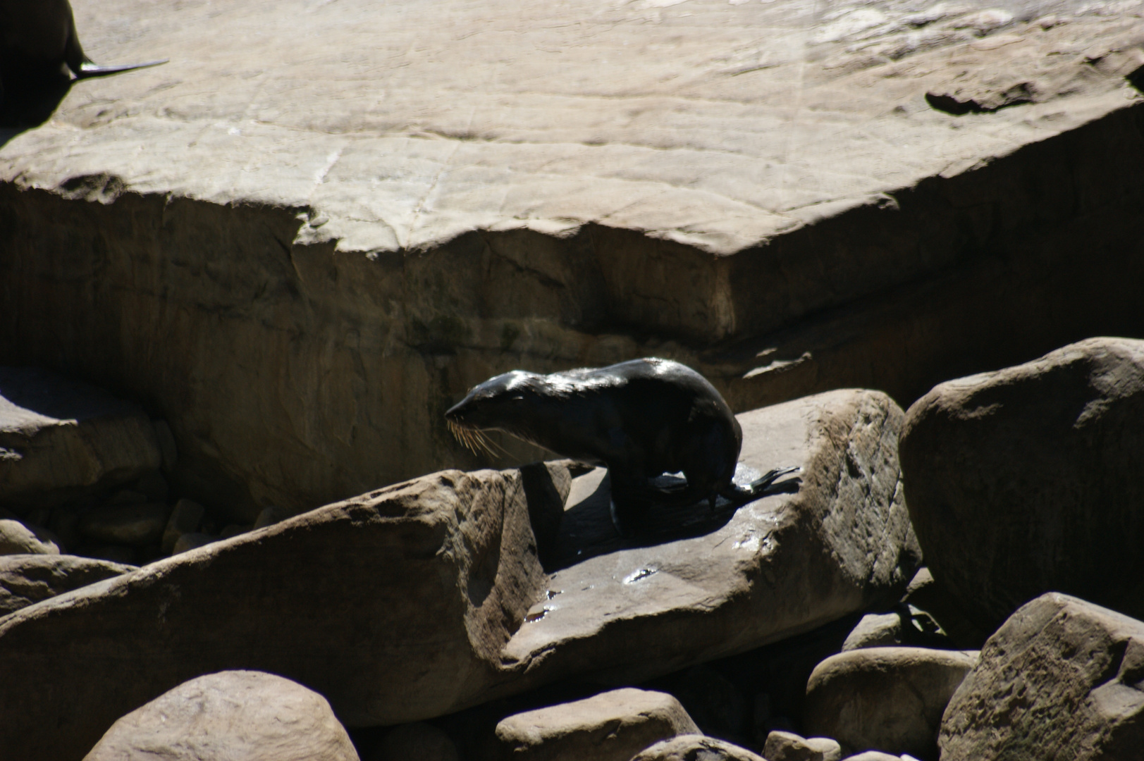 at Admirals Arch