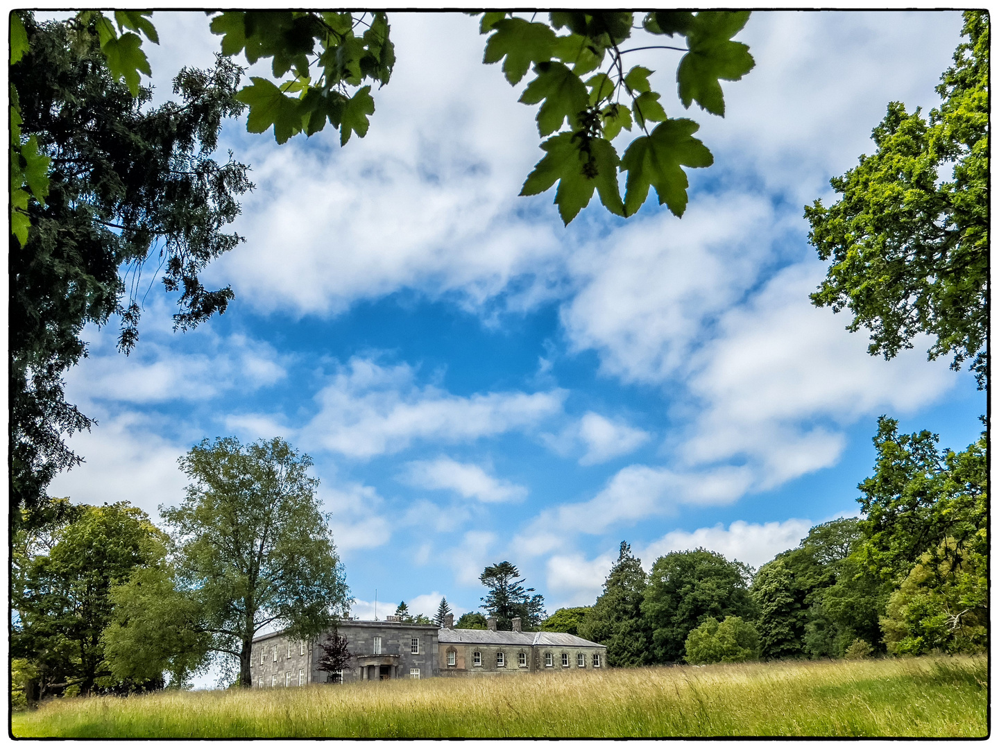 At Arlington Court