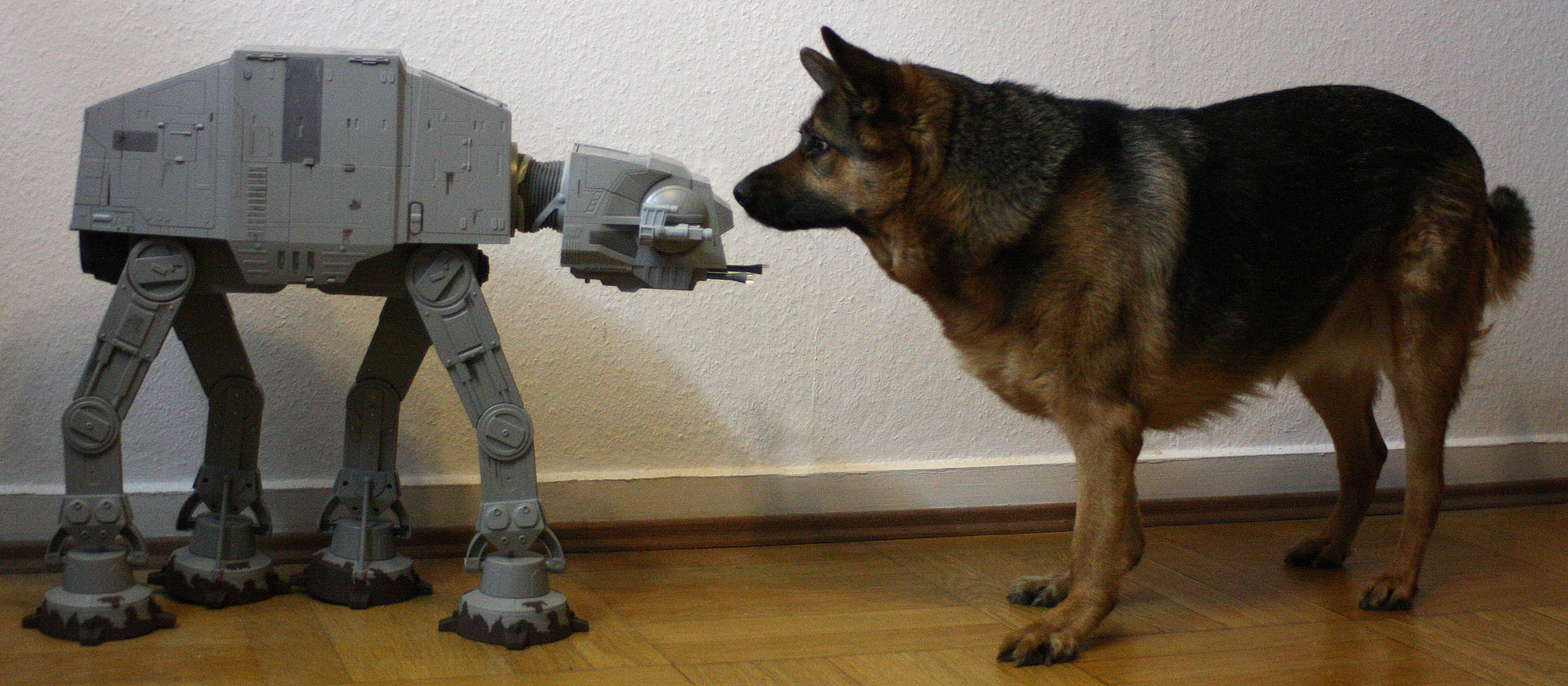 AT- AT ( Star Wars ) vs Schäferhund