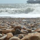 At Brighton Pier