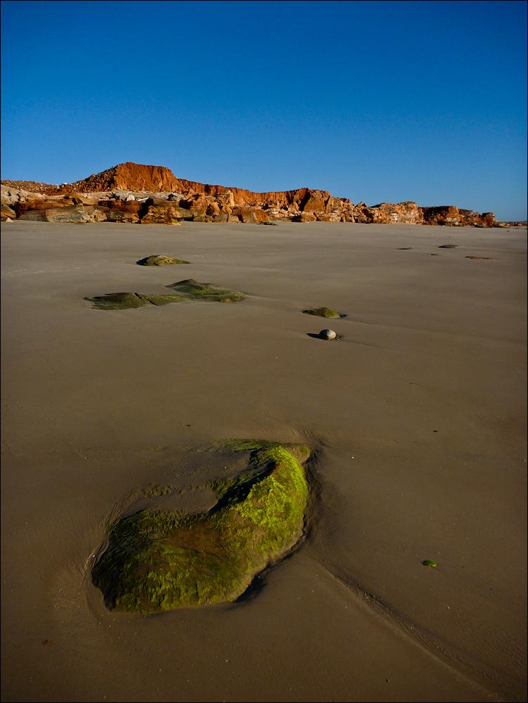 at Cape Leveque