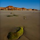 at Cape Leveque