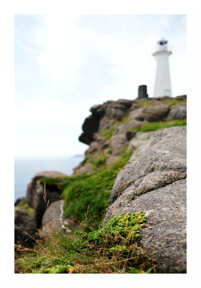 at cape spear