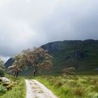 At Glenveagh