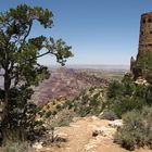 At Grand Canyon