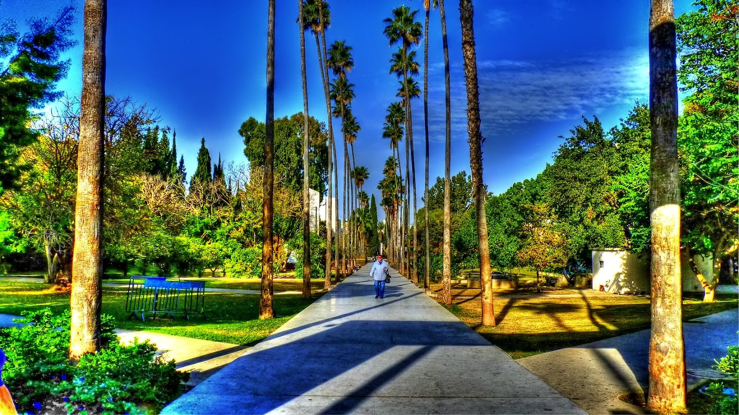 AT HADERA PARK-ISRAEL