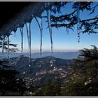 At Jakhu hill at shimla