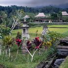 At Jatiluwih paddyfields