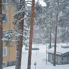 At least a winter on south Finland