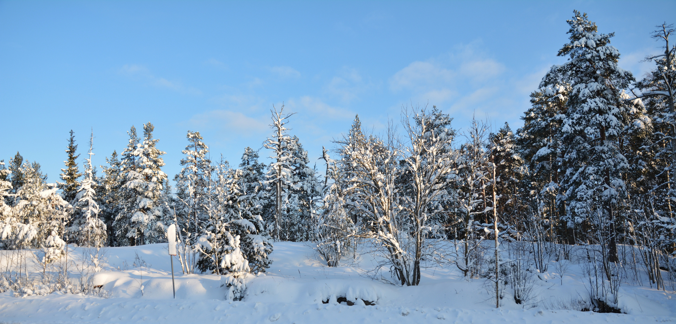 At least we have the sunny winter day