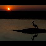 At Mary River NP