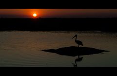 At Mary River NP