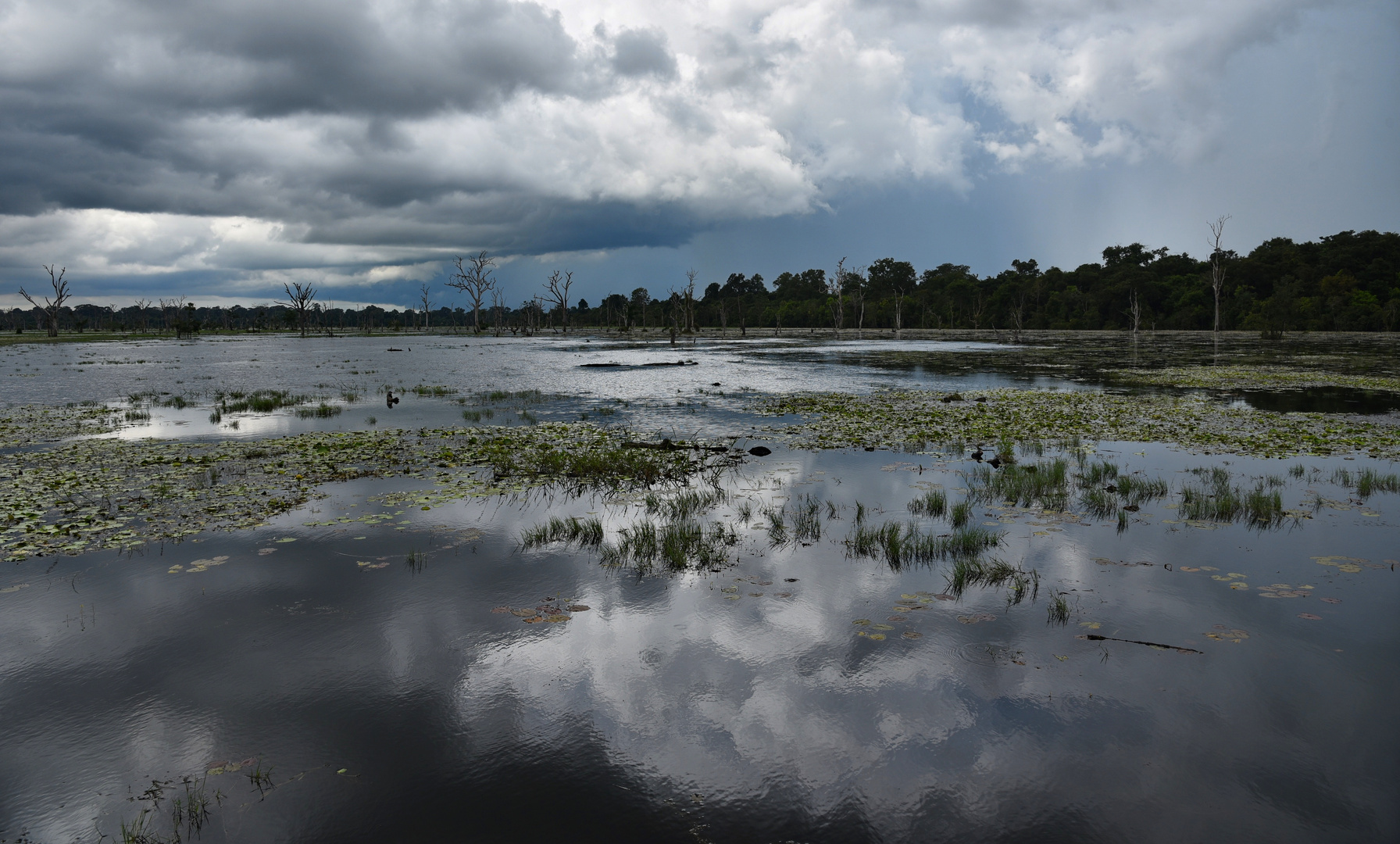 at Neak Pean 02