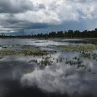 at Neak Pean 02