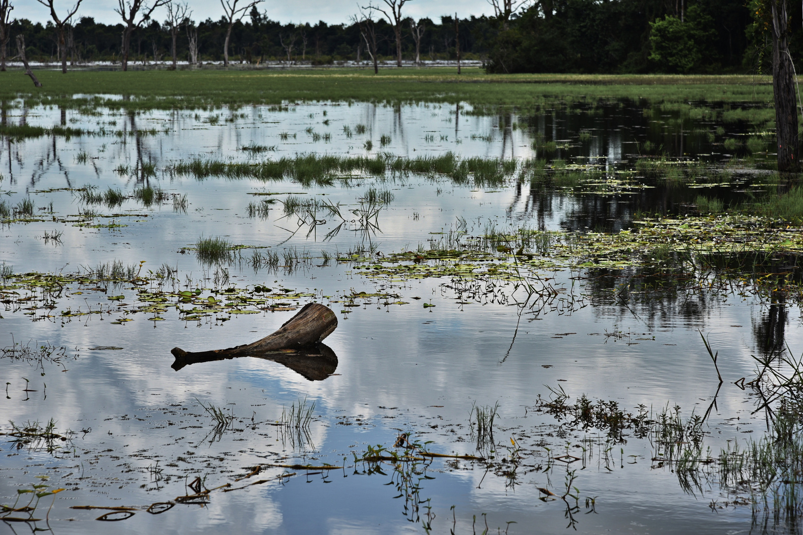 at Neak Pean 03