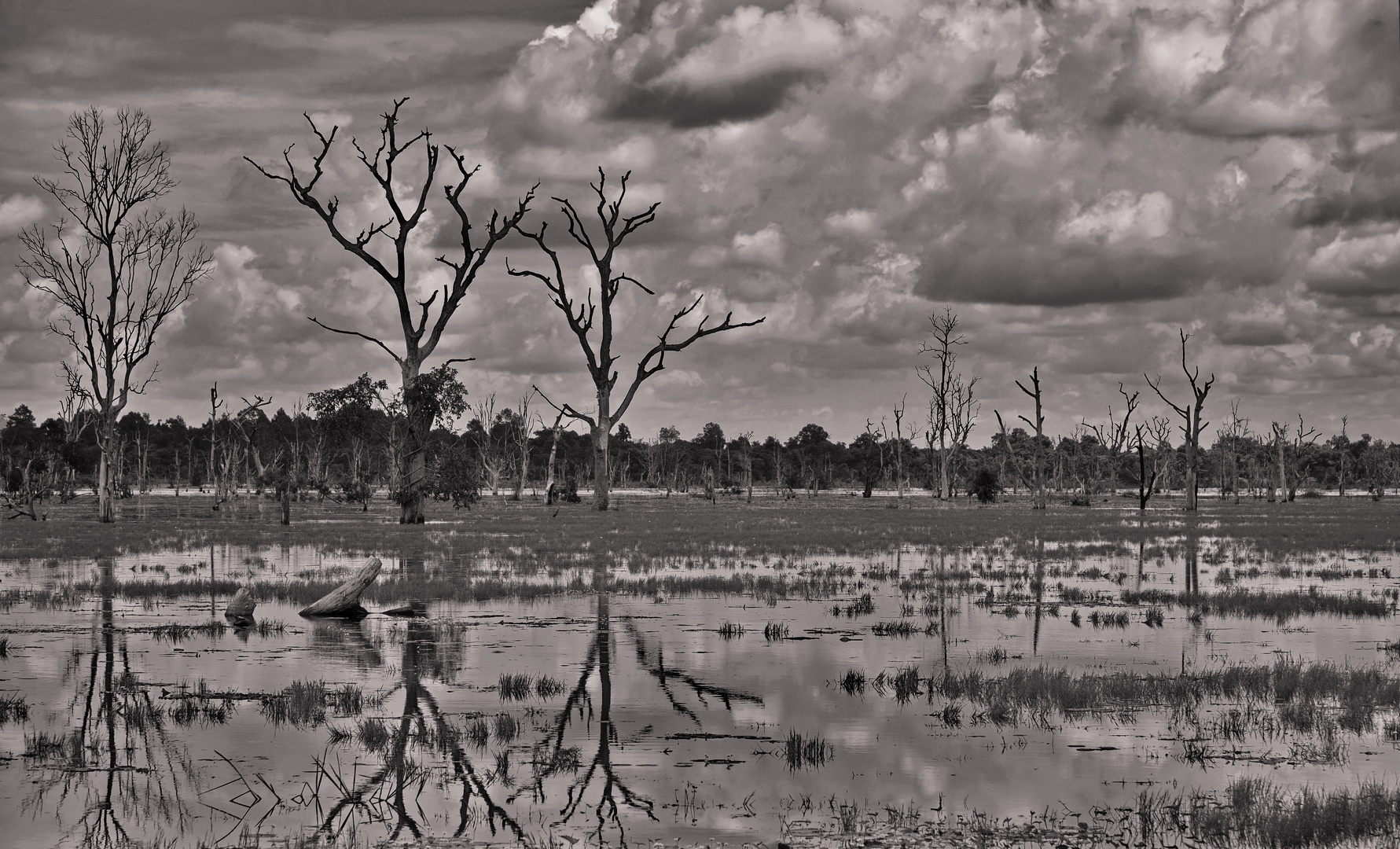 at Neak Pean 04