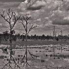 at Neak Pean 04