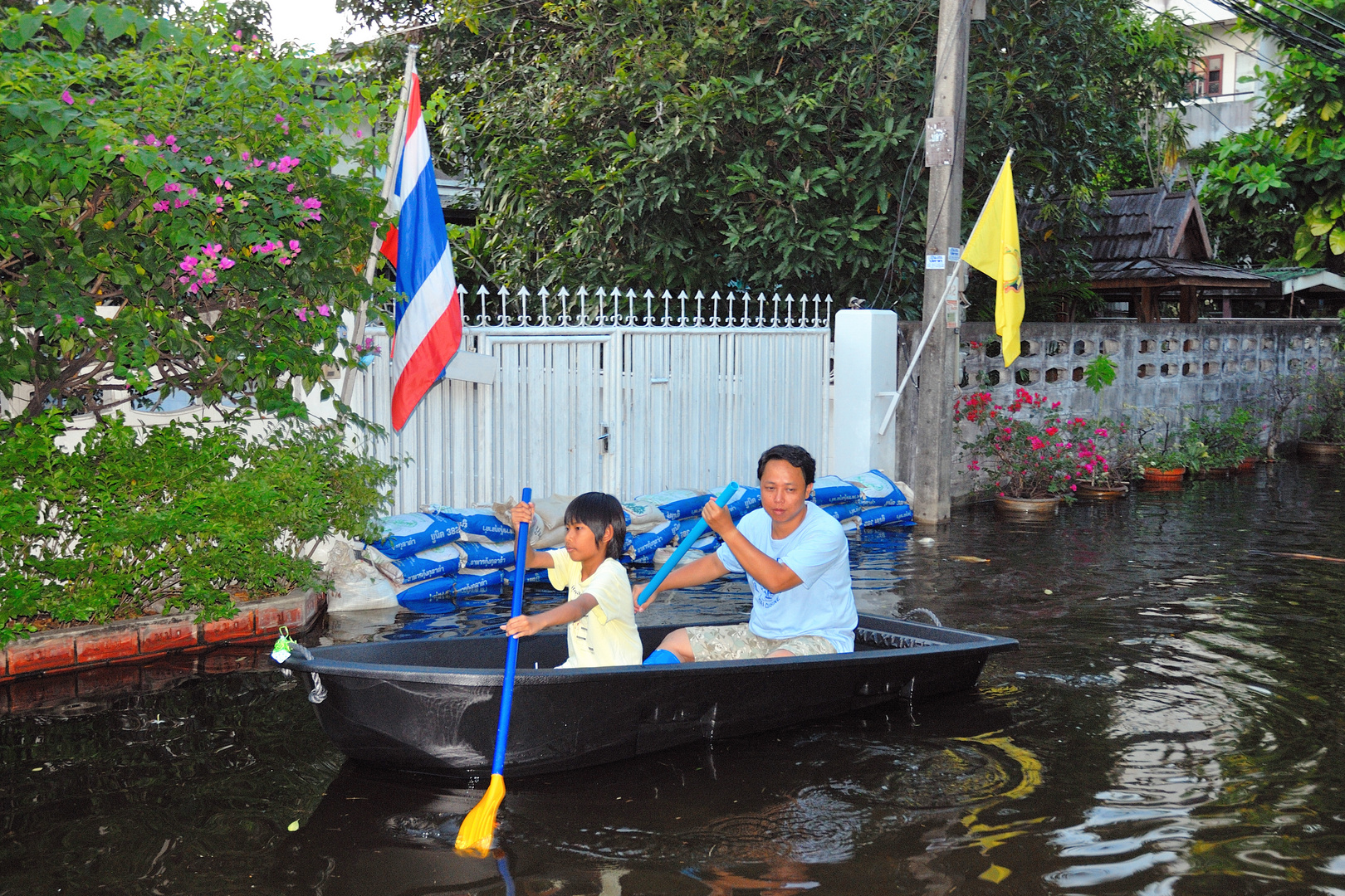 At our home Bangkok, Chatuchak in November 2011