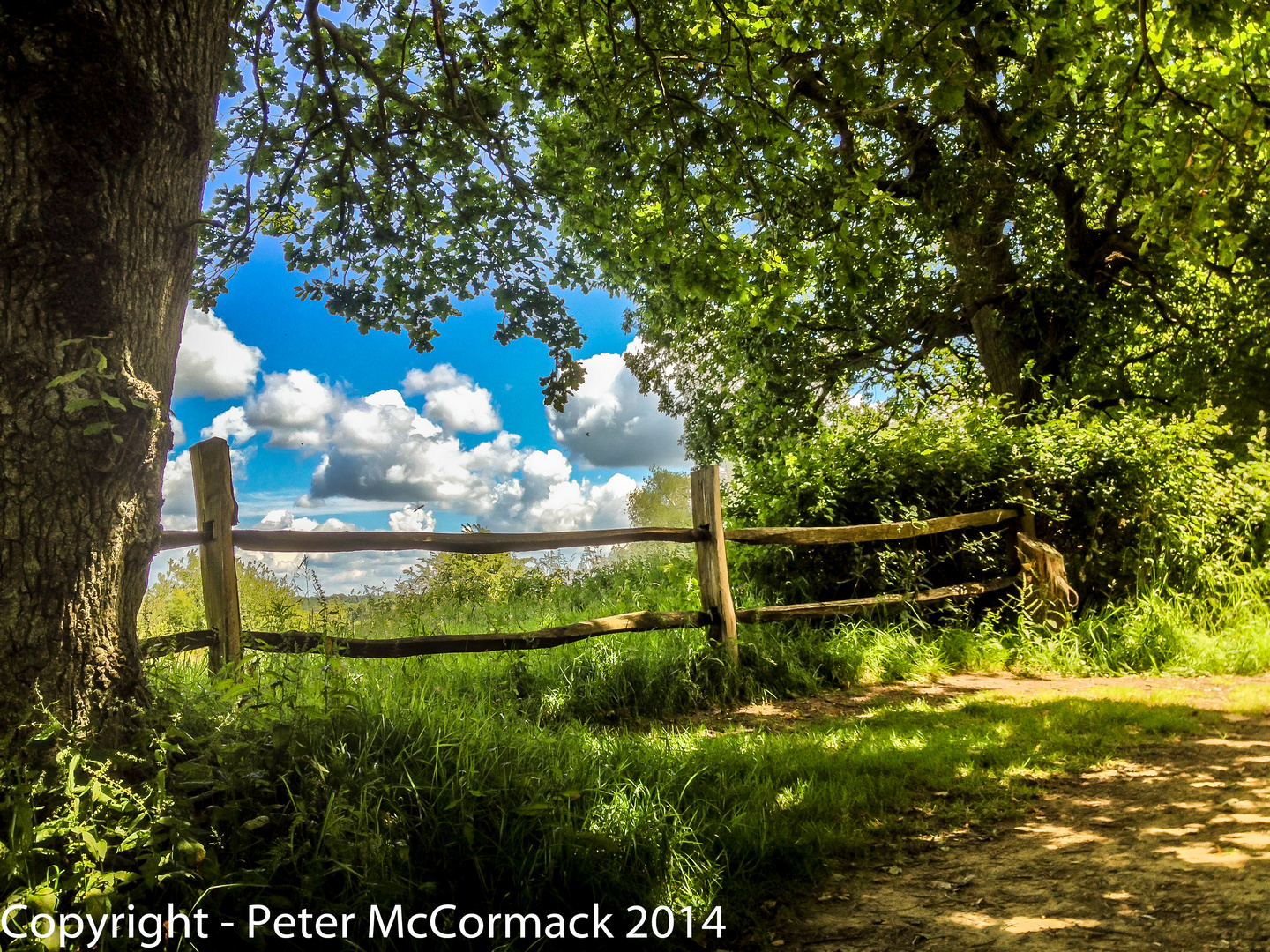 At Pulborough Nature Reseve, West Sussex, England